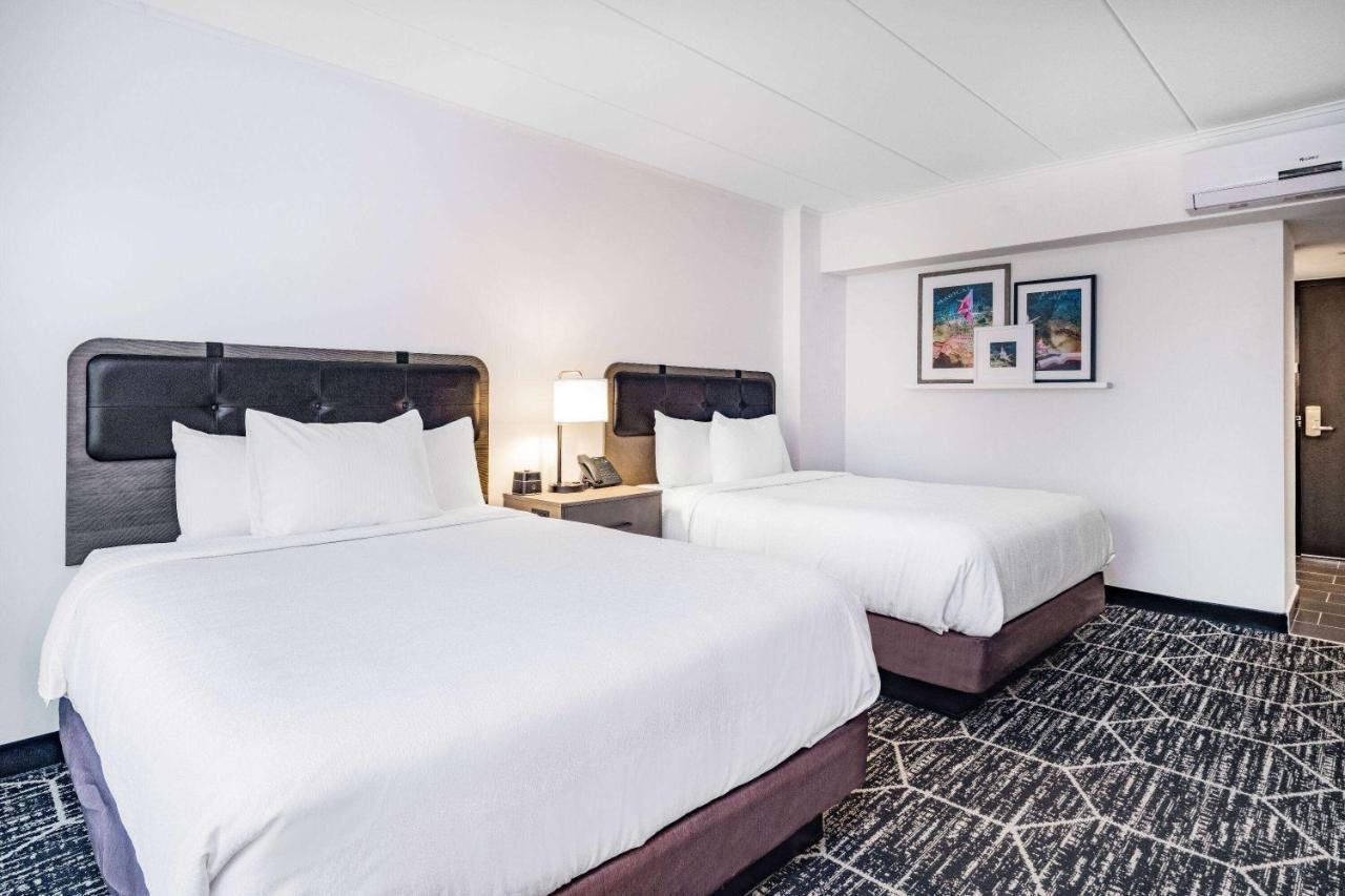 Hotel La Quinta By Wyndham Chicago O'Hare Airport Rosemont Exterior foto